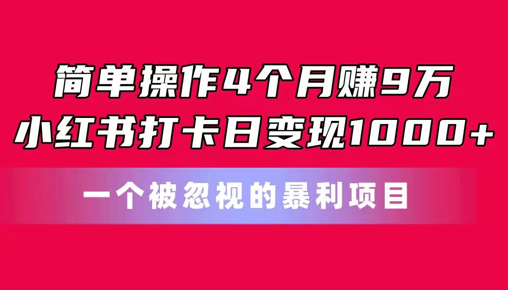 简单操作4个月赚9万！小红书打卡日变现1000+！一个被忽视的暴力项目-资源宝库