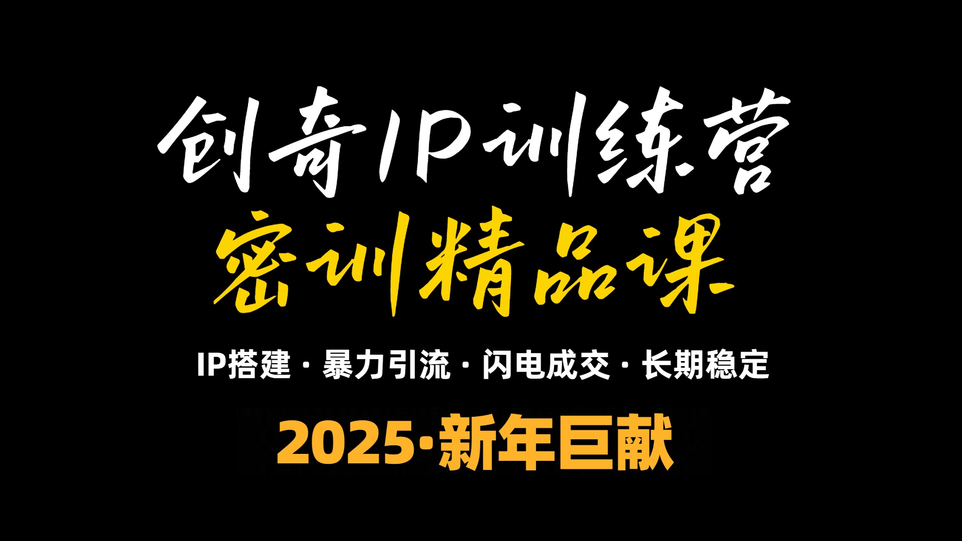 2025年“知识付费IP训练营”小白避坑年赚百万,暴力引流,闪电成交-资源宝库