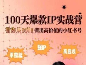 小红书100天爆款IP实战营，带你从0到1做出高价值的小红书号-资源宝库