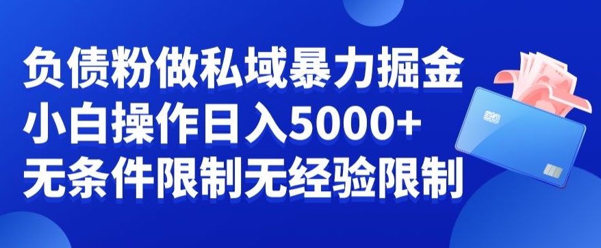 负债粉私域暴力掘金，小白操作入5000，无经验限制，无条件限制【揭秘】-资源宝库