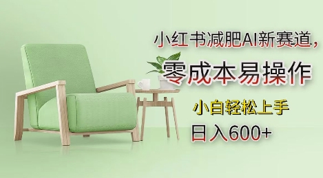 小红书减肥AI新赛道，零成本易操作，日入多张，小白轻松上手【揭秘】-资源宝库