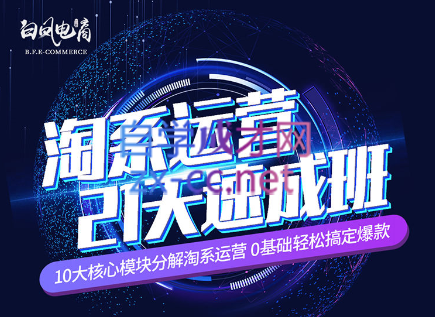 淘系运营21天速成班(更新24年5月)-资源宝库