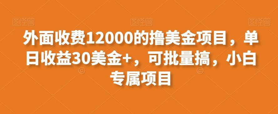 外面收费12000的撸美金项目，单日收益30美金+，可批量搞，小白专属项目-资源宝库
