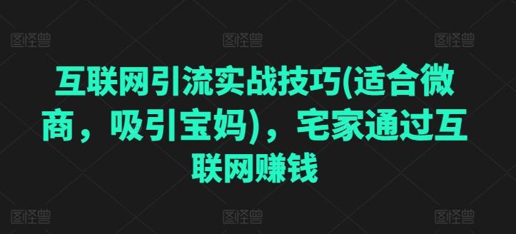 互联网引流实战技巧(适合微商，吸引宝妈)，宅家通过互联网赚钱-资源宝库