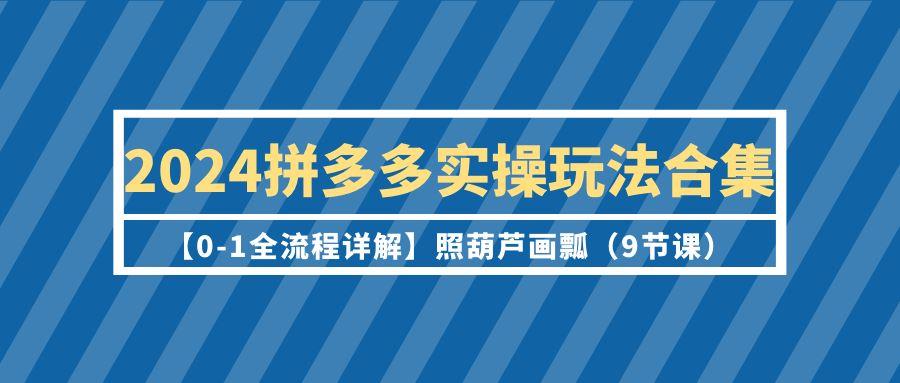 (9559期)2024拼多多实操玩法合集【0-1全流程详解】照葫芦画瓢(9节课)-资源宝库