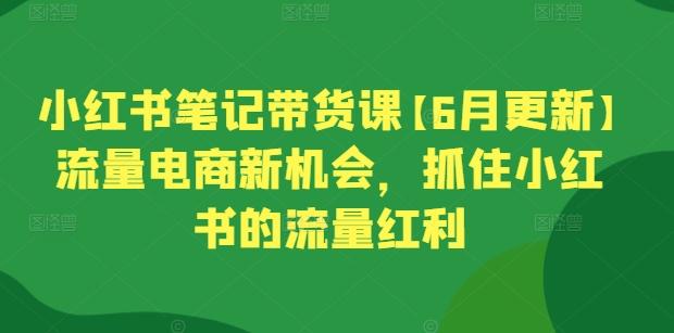 小红书笔记带货课【6月更新】流量电商新机会，抓住小红书的流量红利-资源宝库