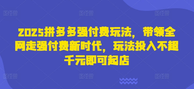 2025拼多多强付费玩法，带领全网走强付费新时代，玩法投入不超千元即可起店-资源宝库