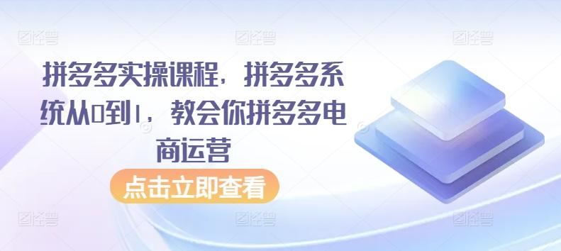 拼多多实操课程，拼多多系统从0到1，教会你拼多多电商运营-资源宝库