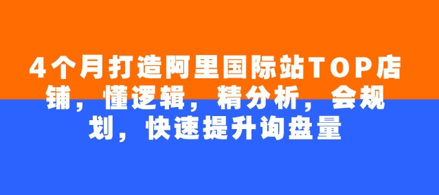 4个月打造阿里国际站TOP店铺，懂逻辑，精分析，会规划，快速提升询盘量-资源宝库