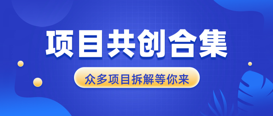 项目共创合集，从0-1全过程拆解，让你迅速找到适合自已的项目-资源宝库