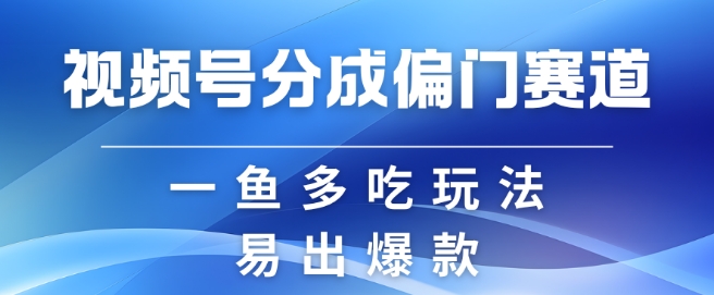 视频号创作者分成计划偏门类目，容易爆流，实拍内容简单易做【揭秘】-资源宝库