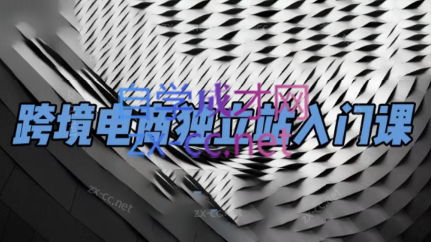团长·跨境电商独立站入门课(2小时精华)-资源宝库