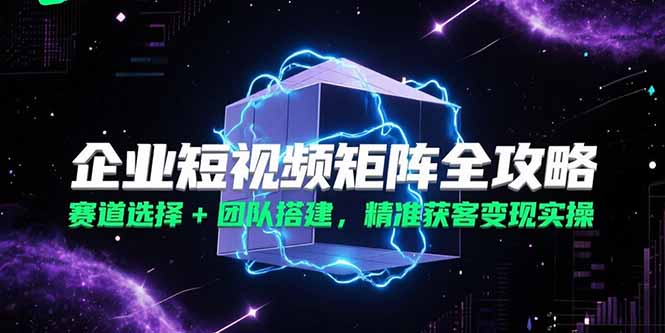 企业短视频矩阵全攻略,赛道选择+团队搭建,精准获客变现实操-资源宝库