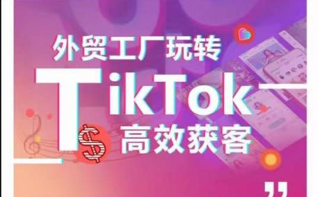 外贸工厂玩转TikTok高效获客，多种引流方式与账号定位技巧，拆解爆款短视频打造成功案例-资源宝库