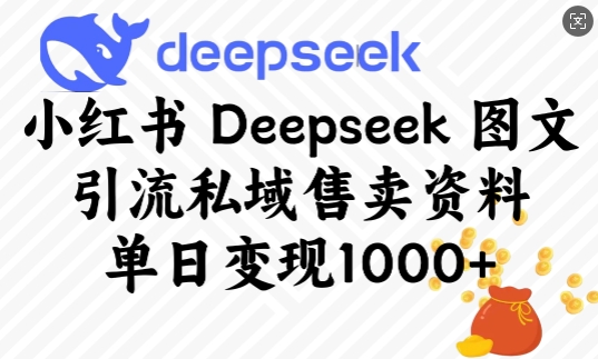 小红书Deepseek图文引流私域售卖资料，单日变现多张-资源宝库