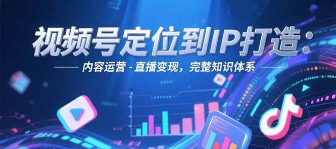 视频号定位到IP打造：账号搭建-内容运营-直播变现，完整知识体系-资源宝库