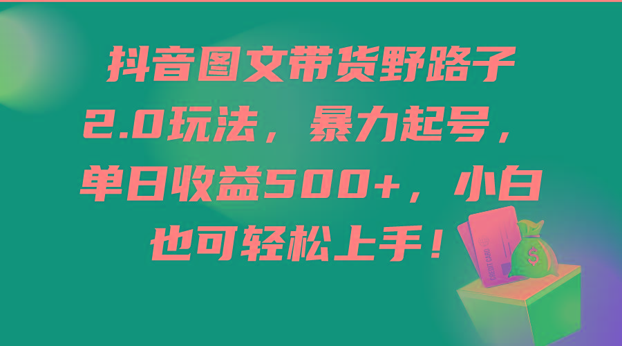 (9790期)抖音图文带货野路子2.0玩法，暴力起号，单日收益500+，小白也可轻松上手！-资源宝库