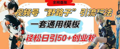 视频号“野路子”玩法,评论区疯狂截流,一套模板单日单号引流50+创业粉-资源宝库