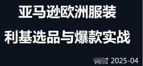 跨境电商选品案例24-25年,聚焦跨境电商选品策略与运营优化,助力卖家挖掘蓝海市场-资源宝库