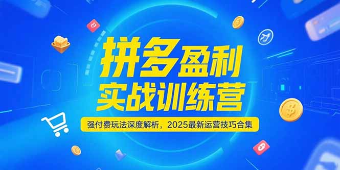 拼多多盈利实战训练营,强付费玩法深度解析,2025运营技巧合集-更新6月-资源宝库