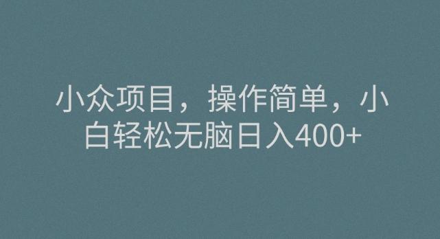 小众项目，操作简单，小白轻松无脑日入400+-资源宝库