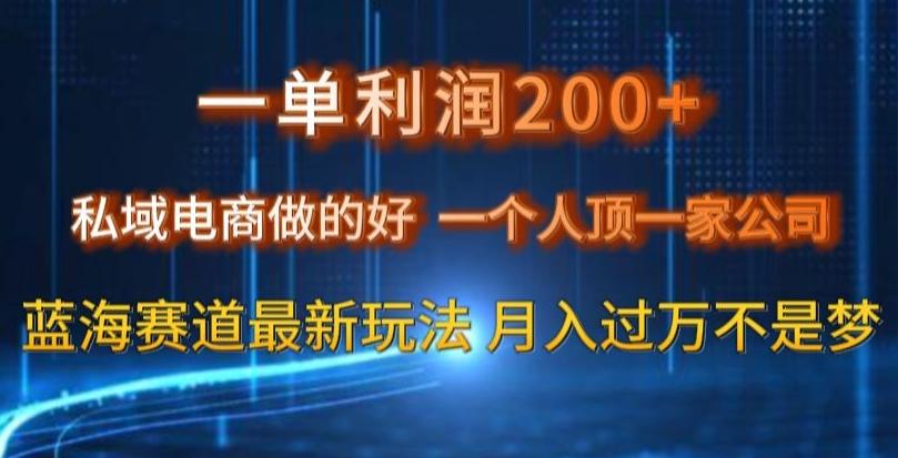 一单利润200私域电商做的好，一个人顶一家公司蓝海赛道最新玩法【揭秘】-资源宝库