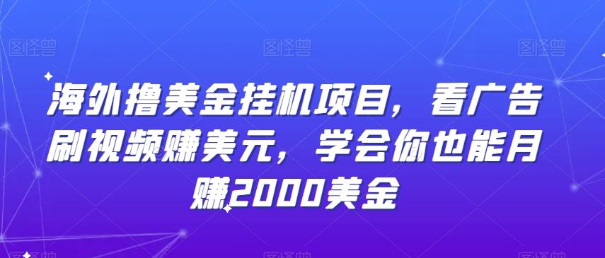 海外撸美金挂机项目，看广告刷视频赚美元，学会你也能月赚2000美金-资源宝库
