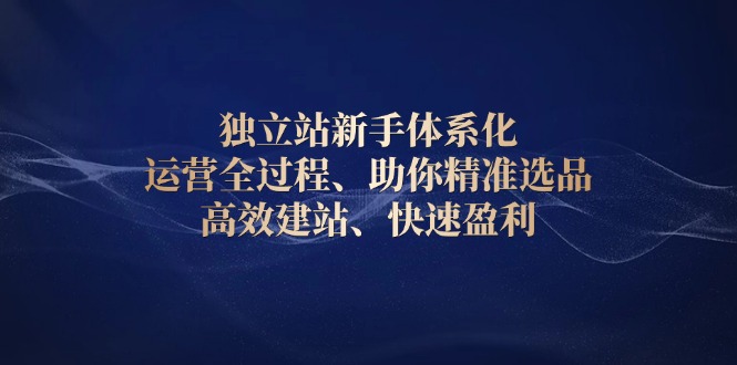 独立站新手体系化 运营全过程,助你精准选品、高效建站、快速盈利-资源宝库