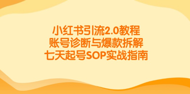 小红书引流2.0教程，账号诊断与爆款拆解，七天起号SOP实战指南-资源宝库