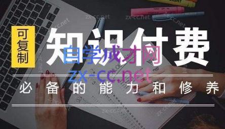 君哥·IP合伙人知识付费虚拟项目(更新24年6月)-资源宝库
