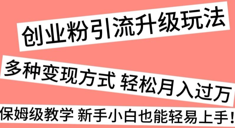 创业粉引流升级玩法，多种变现方式轻松月入过万，保姆级教学新手小白也能轻易上手！-资源宝库