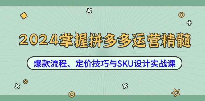 2024掌握拼多多运营精髓：爆款流程、定价技巧与SKU设计实战课-资源宝库