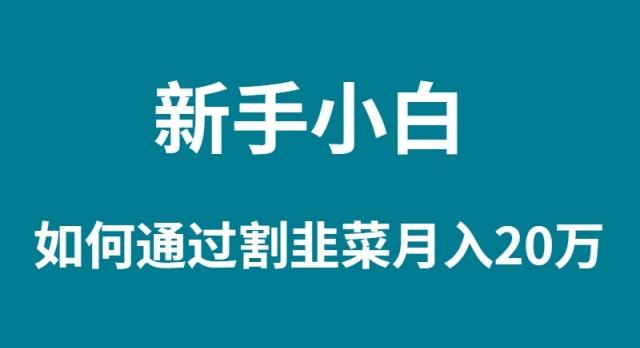 (9308期)新手小白如何通过割韭菜月入 20W-资源宝库