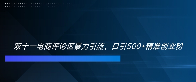 双十一电商评论区暴力引流，日引500+精准创业粉【揭秘】-资源宝库