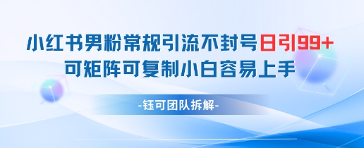 小红书男粉常规引流不封号日引99+变现简单 可矩阵可复制小白容易上手-资源宝库
