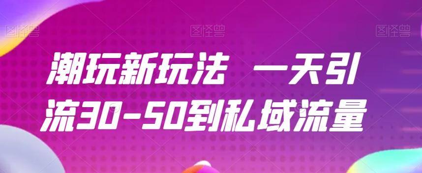 潮玩新玩法一天引流30-50到私域流量-资源宝库