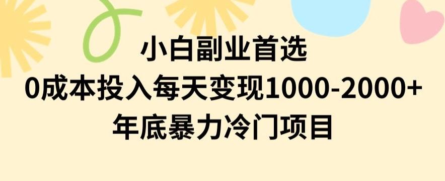 小白副业首选，0成本投入，每天变现1000-2000年底暴力冷门项目【揭秘】-资源宝库