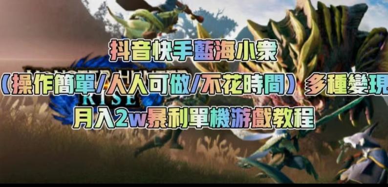 抖音快手蓝海小众（操作简单人人可做不花时间）多种变现月入2w＋暴利单机游戏教程-资源宝库