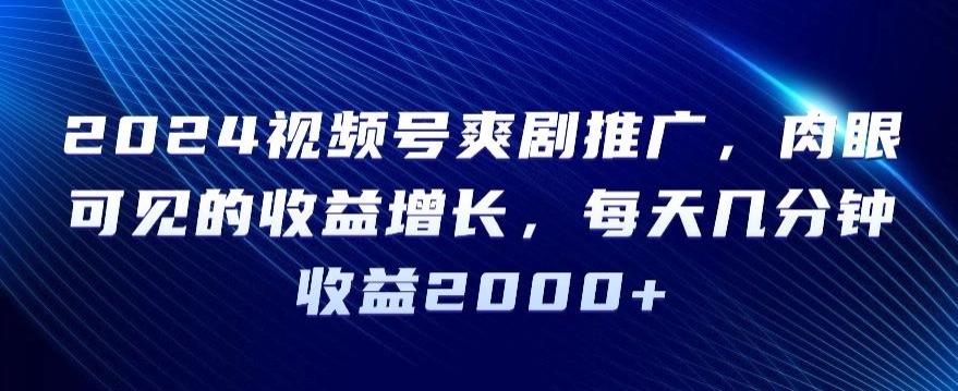 2024视频号爽剧推广，肉眼可见的收益增长，每天几分钟收益2000+【揭秘】-资源宝库