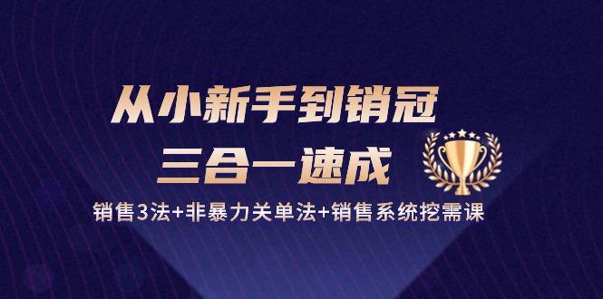 从小新手到销冠 三合一速成：销售3法+非暴力关单法+销售系统挖需课 (27节-资源宝库