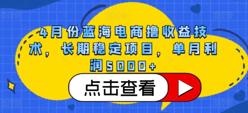 4月份蓝海电商撸收益技术，长期稳定项目，单月利润5000+【揭秘】-资源宝库