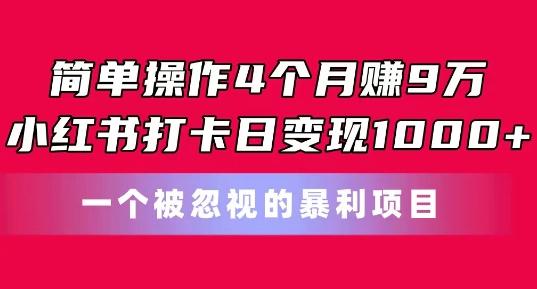 简单操作4个月赚9w，小红书打卡日变现1k，一个被忽视的暴力项目【揭秘】-资源宝库