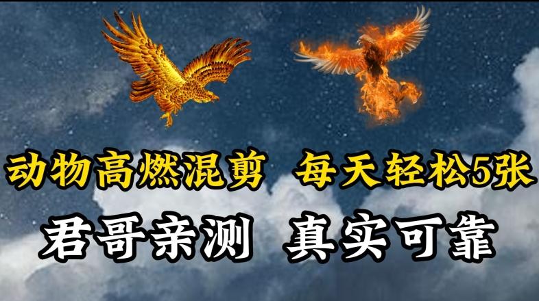 动物超燃混剪，每天轻松5张，剪辑简单大家爱看【揭秘】-资源宝库
