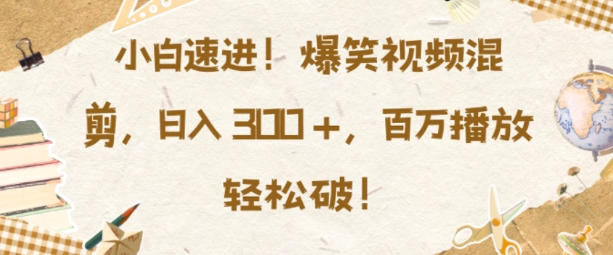 小白速进，爆笑视频混剪，日入3张，百万播放轻松破【揭秘】-资源宝库