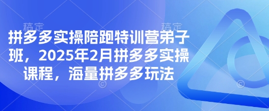 拼多多实操陪跑特训营弟子班，2025年2月拼多多实操课程，海量拼多多玩法-资源宝库