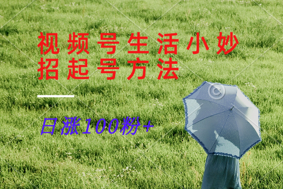 视频号生活小妙招分享赛道， 起号涨粉新方法，日涨100粉-资源宝库