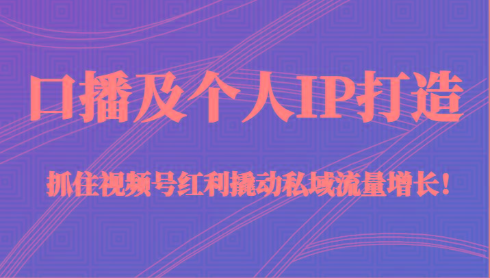 口播及个人IP打造，抓住视频号红利撬动私域流量增长！（45节课）-资源宝库