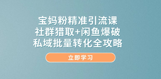 宝妈粉精准引流课，社群猎取+闲鱼爆破，私域批量转化全攻略-资源宝库