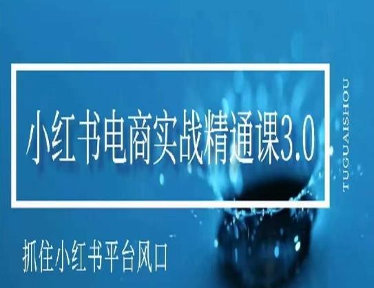 小红书电商实战精通课3.0，抓住小红书平台的风口，不错过有一个赚钱的机会-资源宝库