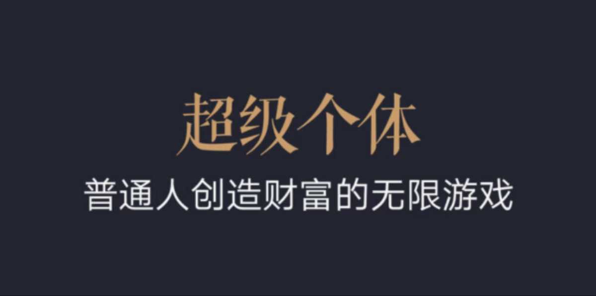 超级个体：2024-2025翻盘指南，普通人创造财富的无限游戏-资源宝库